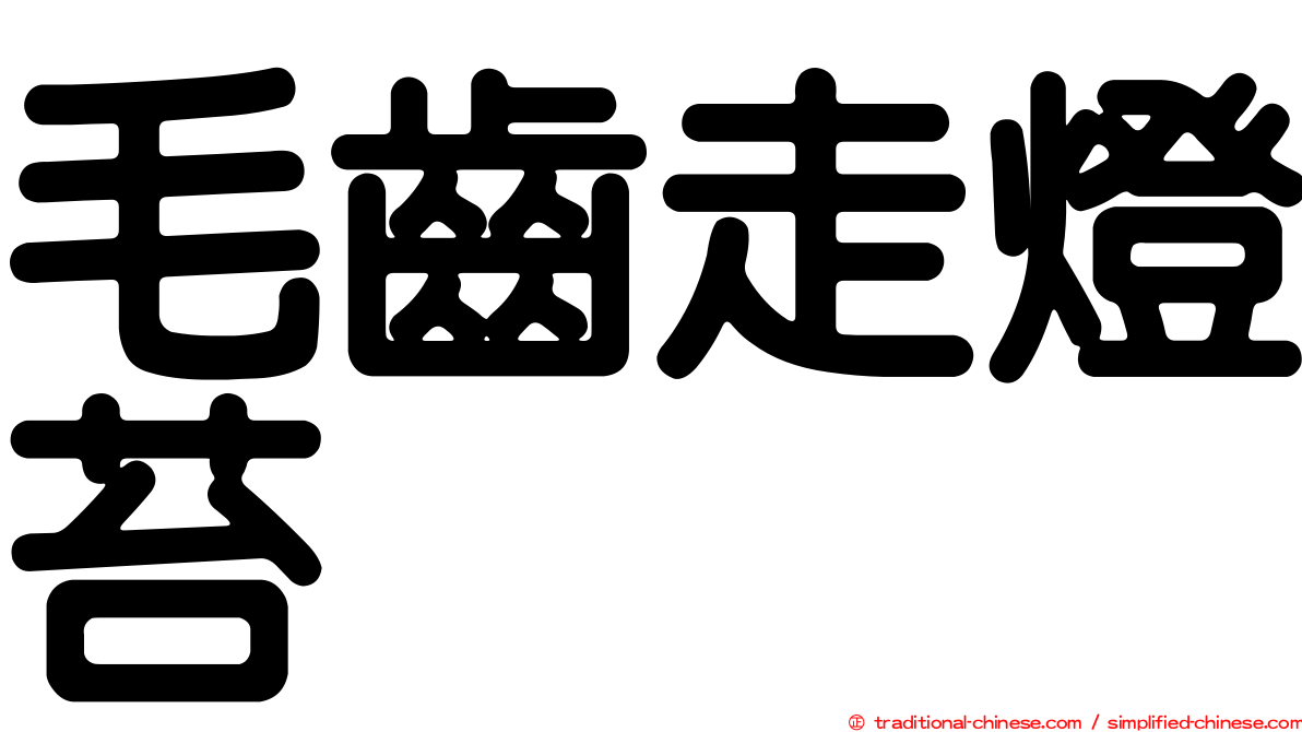 毛齒走燈苔