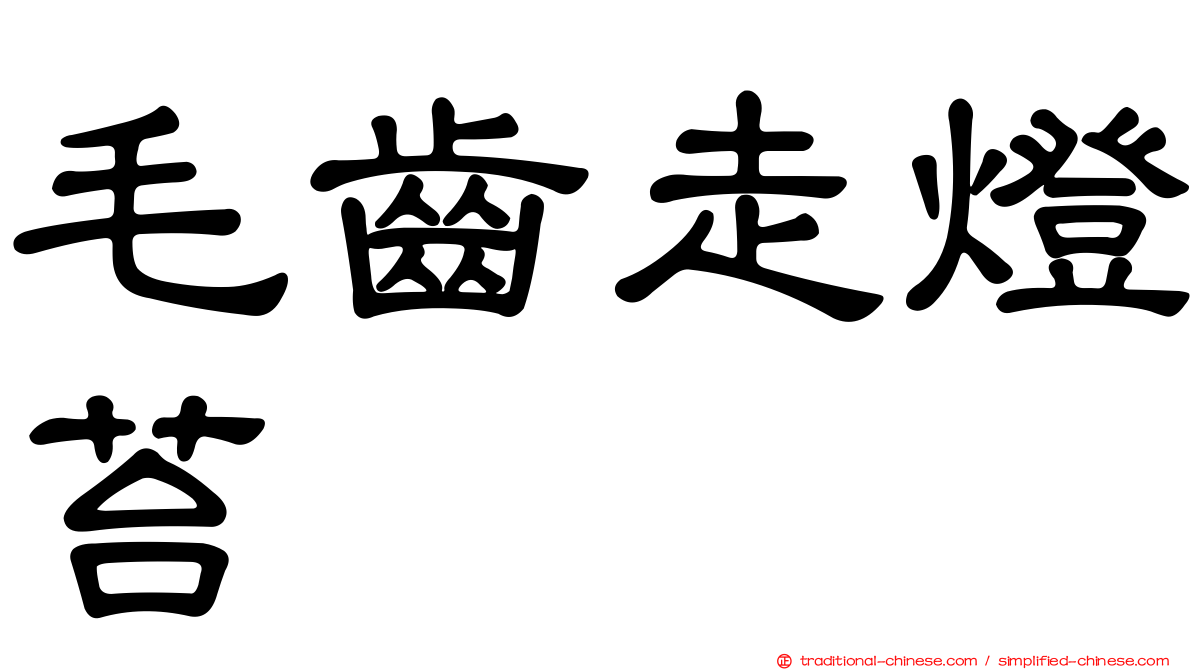 毛齒走燈苔