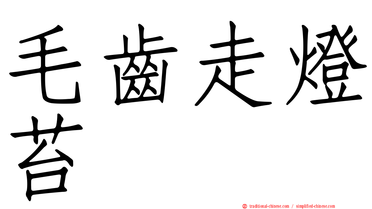 毛齒走燈苔