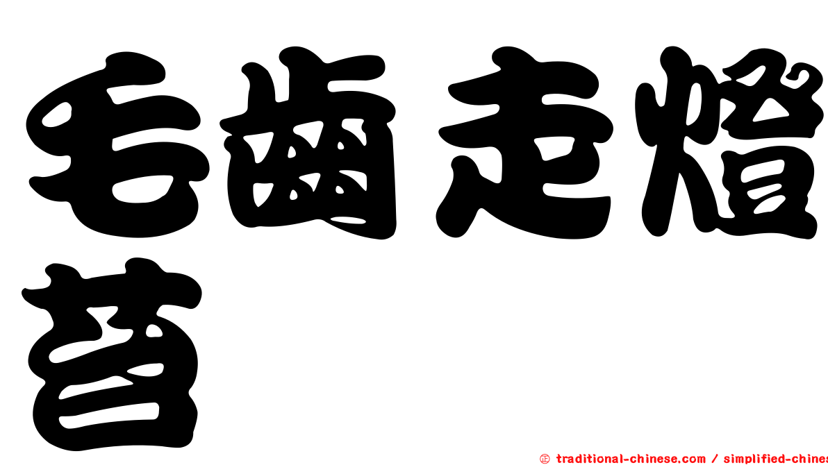 毛齒走燈苔