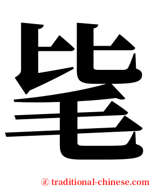 毞 serif font