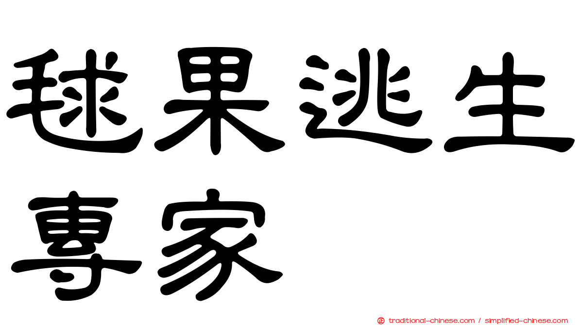 毬果逃生專家