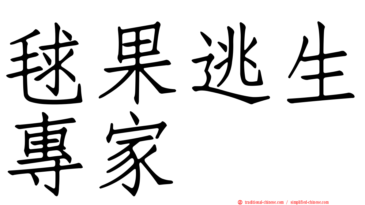 毬果逃生專家