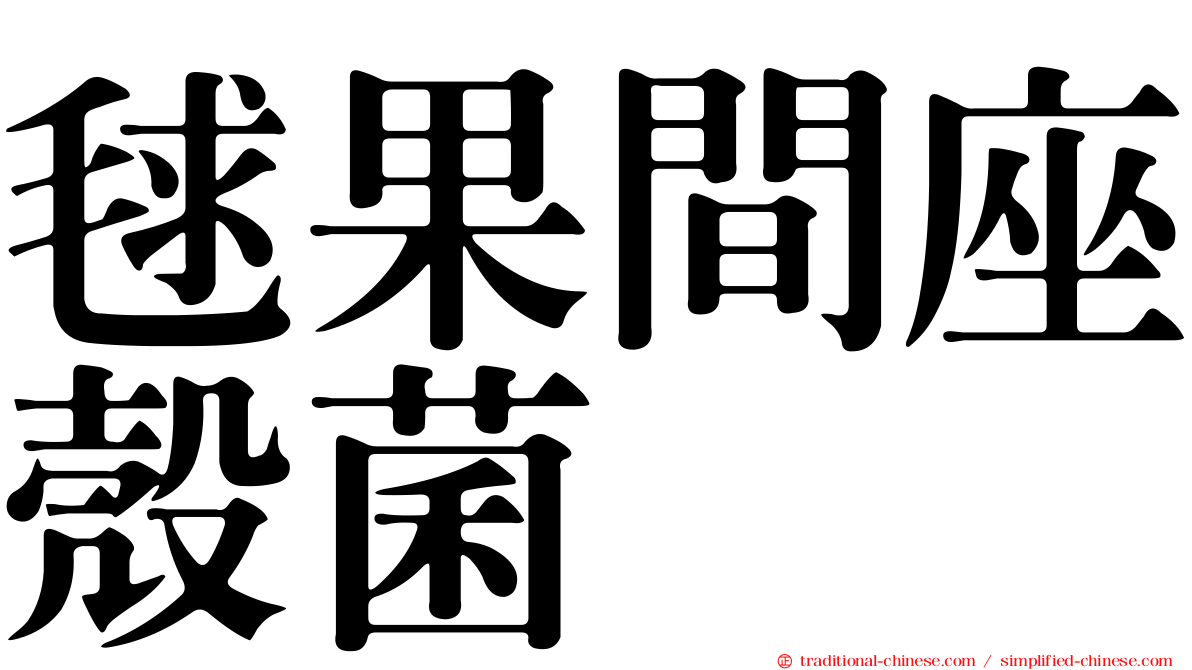 毬果間座殼菌