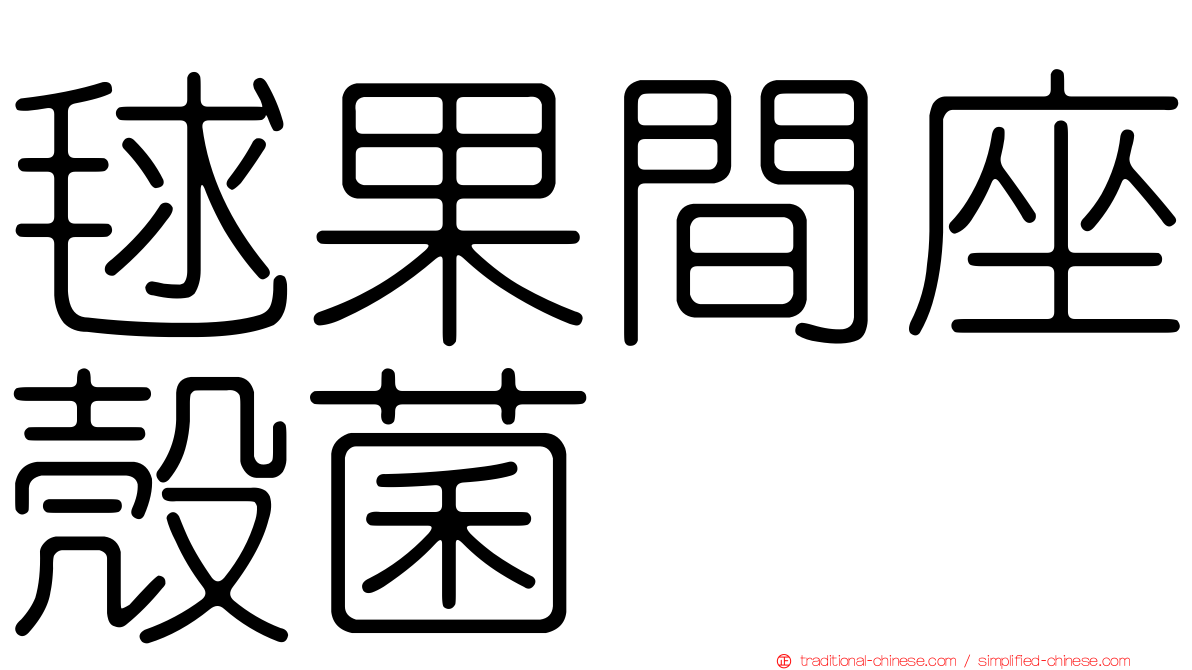 毬果間座殼菌