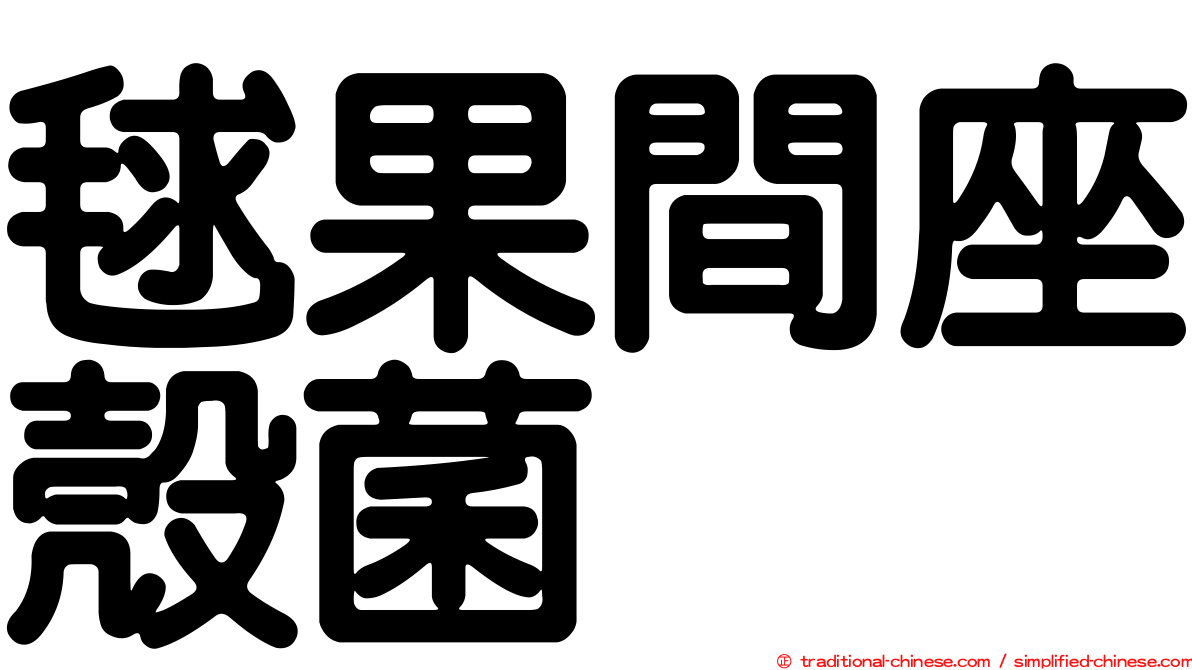 毬果間座殼菌