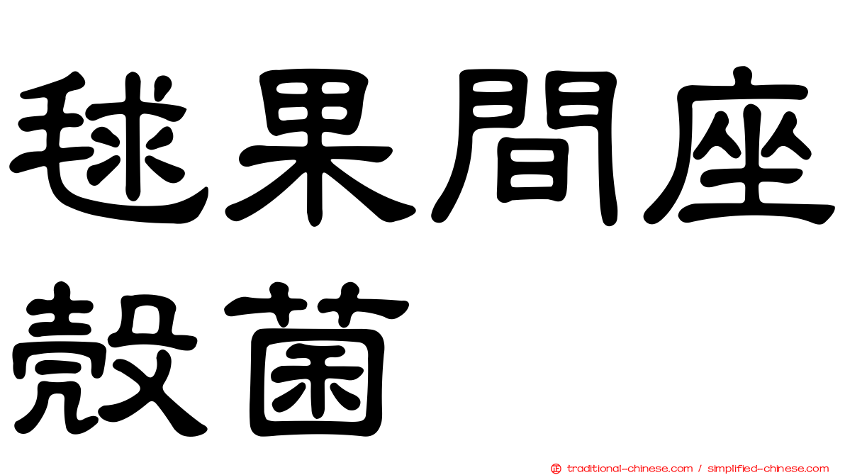 毬果間座殼菌
