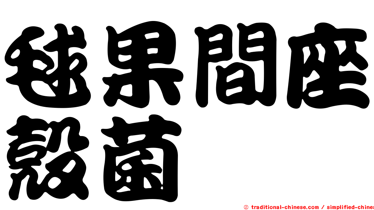 毬果間座殼菌