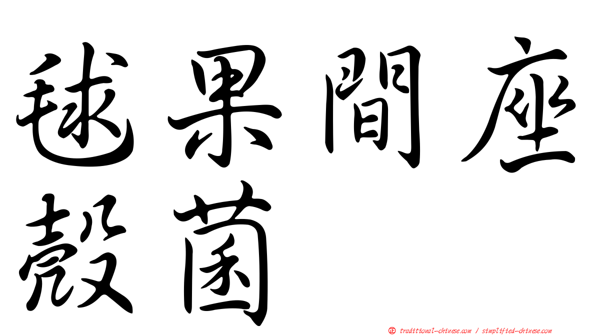 毬果間座殼菌