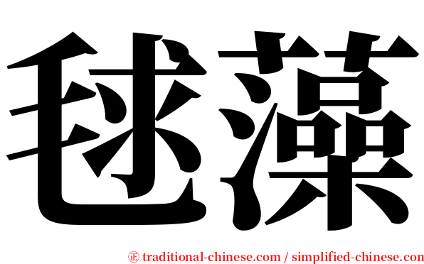 毬藻 serif font