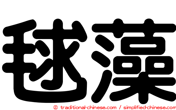 毬藻