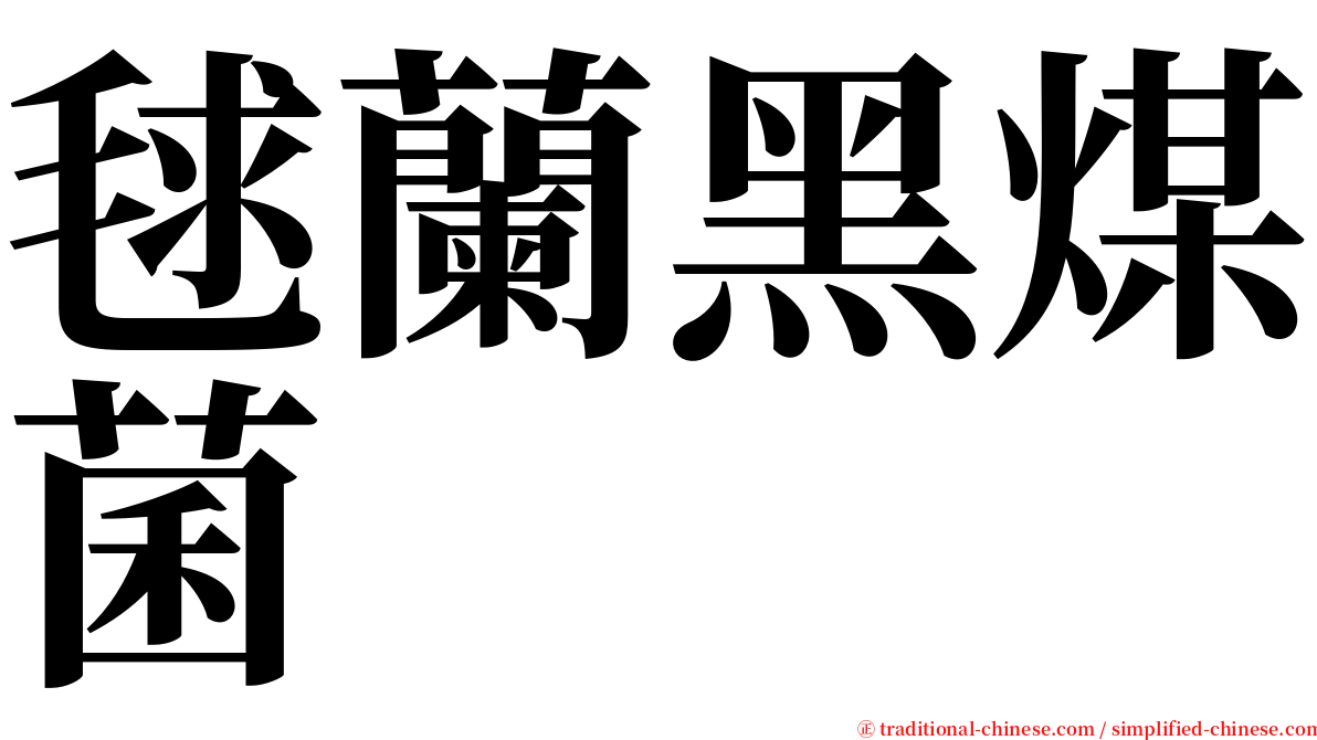 毬蘭黑煤菌 serif font