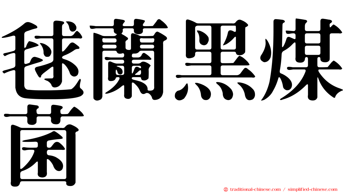毬蘭黑煤菌