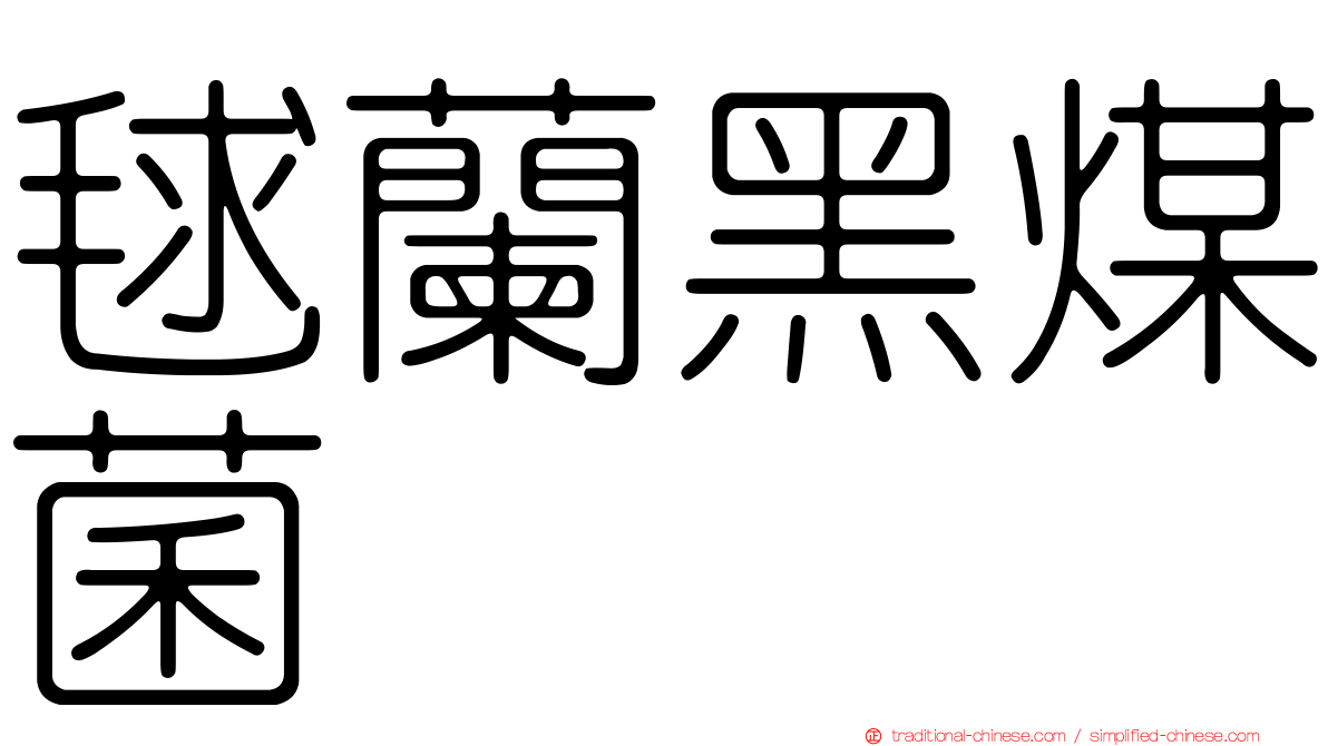 毬蘭黑煤菌