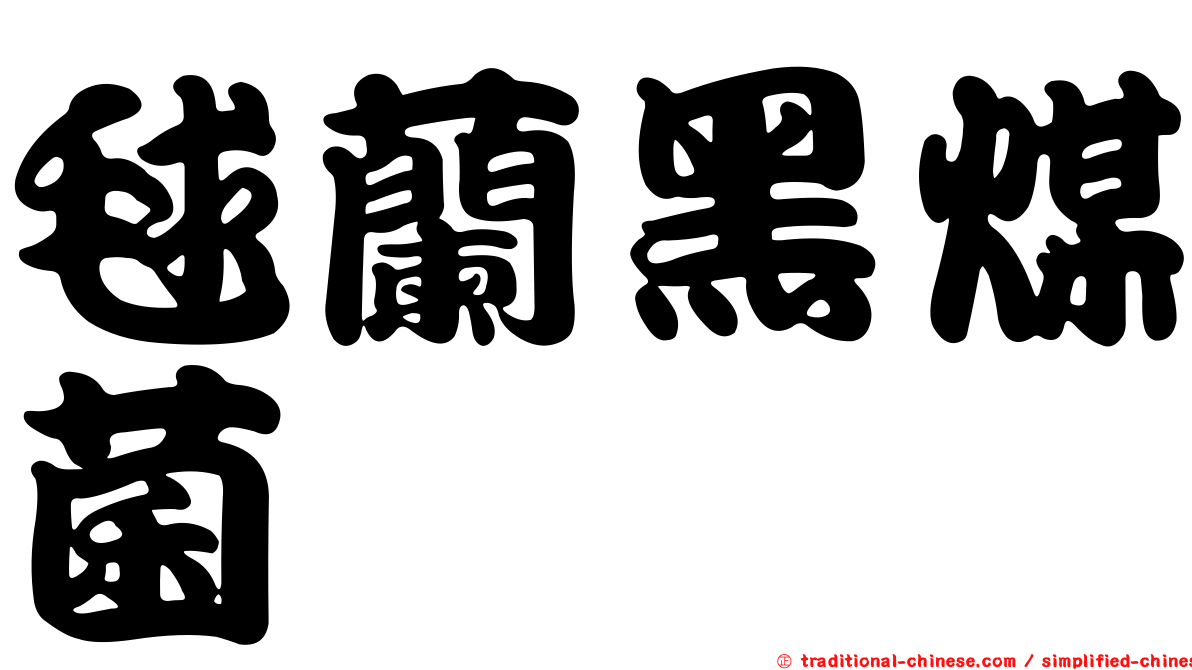 毬蘭黑煤菌