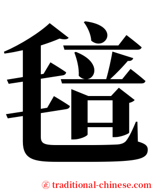毰 serif font