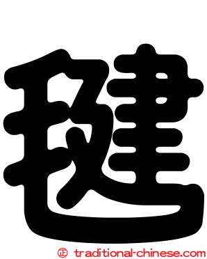 毽
