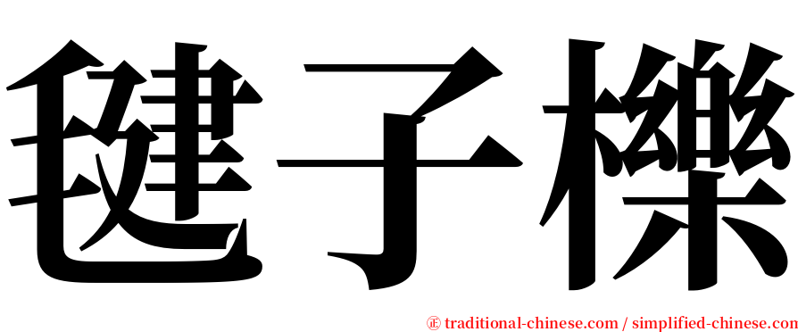 毽子櫟 serif font
