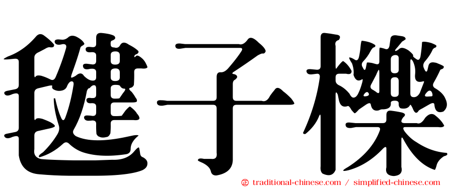 毽子櫟