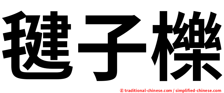 毽子櫟