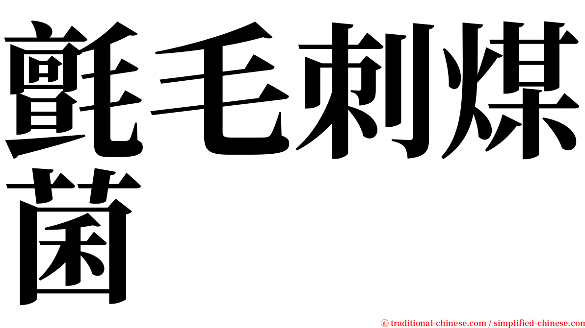 氈毛刺煤菌 serif font