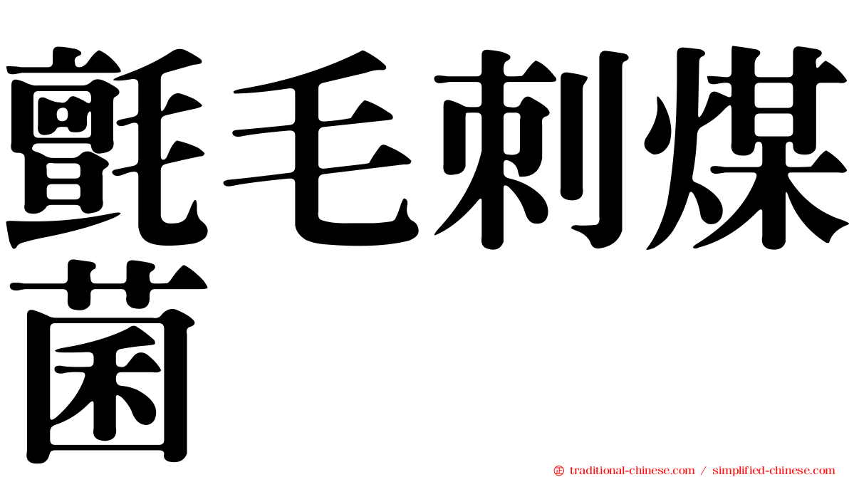 氈毛刺煤菌