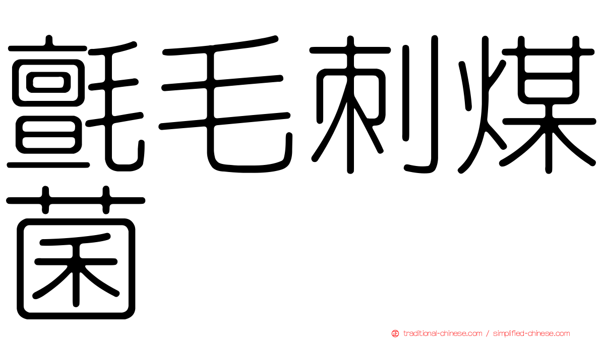 氈毛刺煤菌