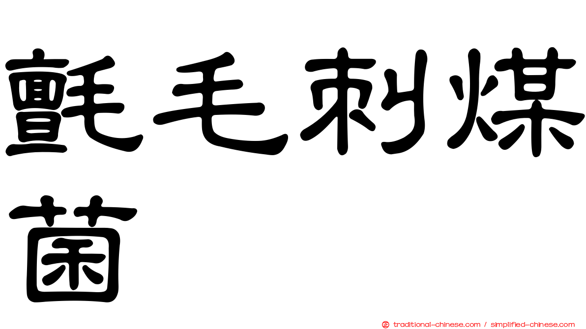 氈毛刺煤菌