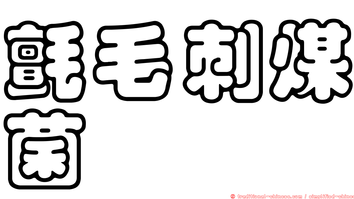 氈毛刺煤菌