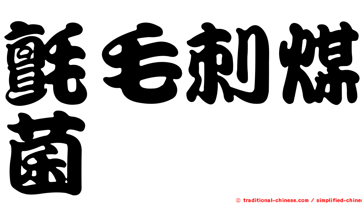 氈毛刺煤菌
