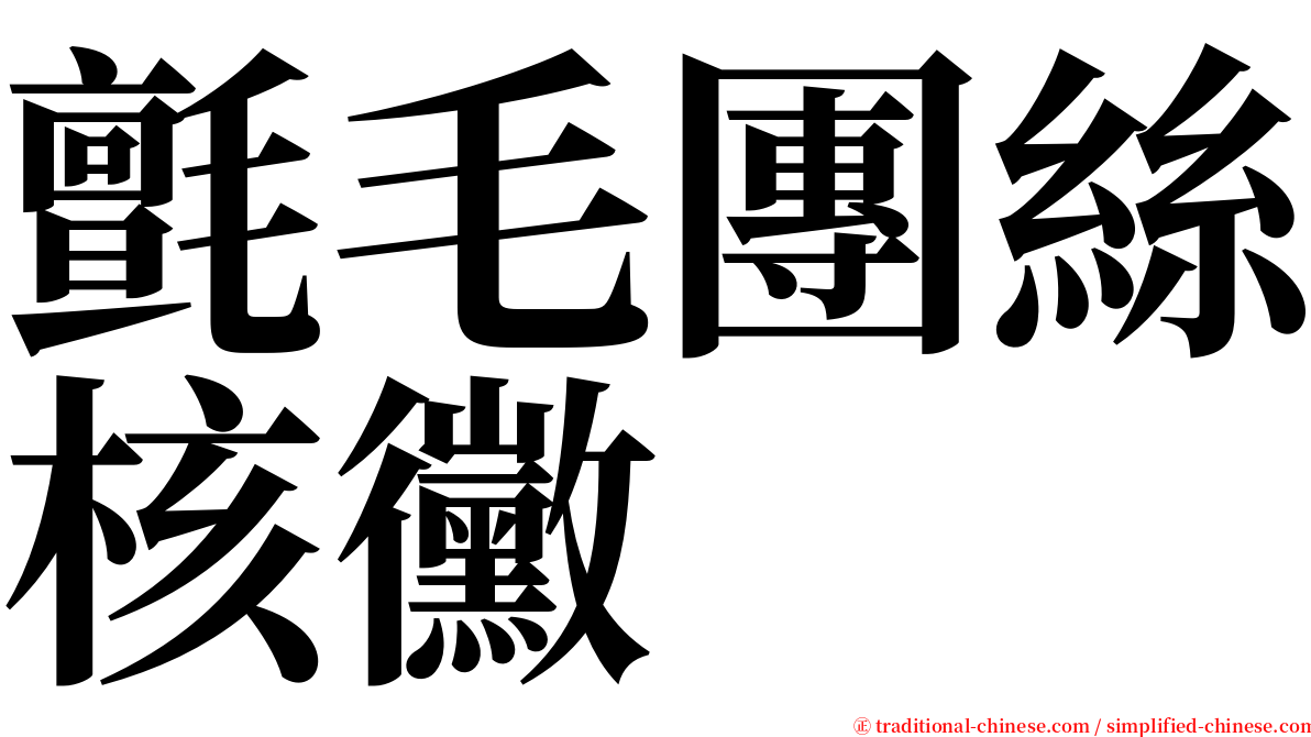 氈毛團絲核黴 serif font