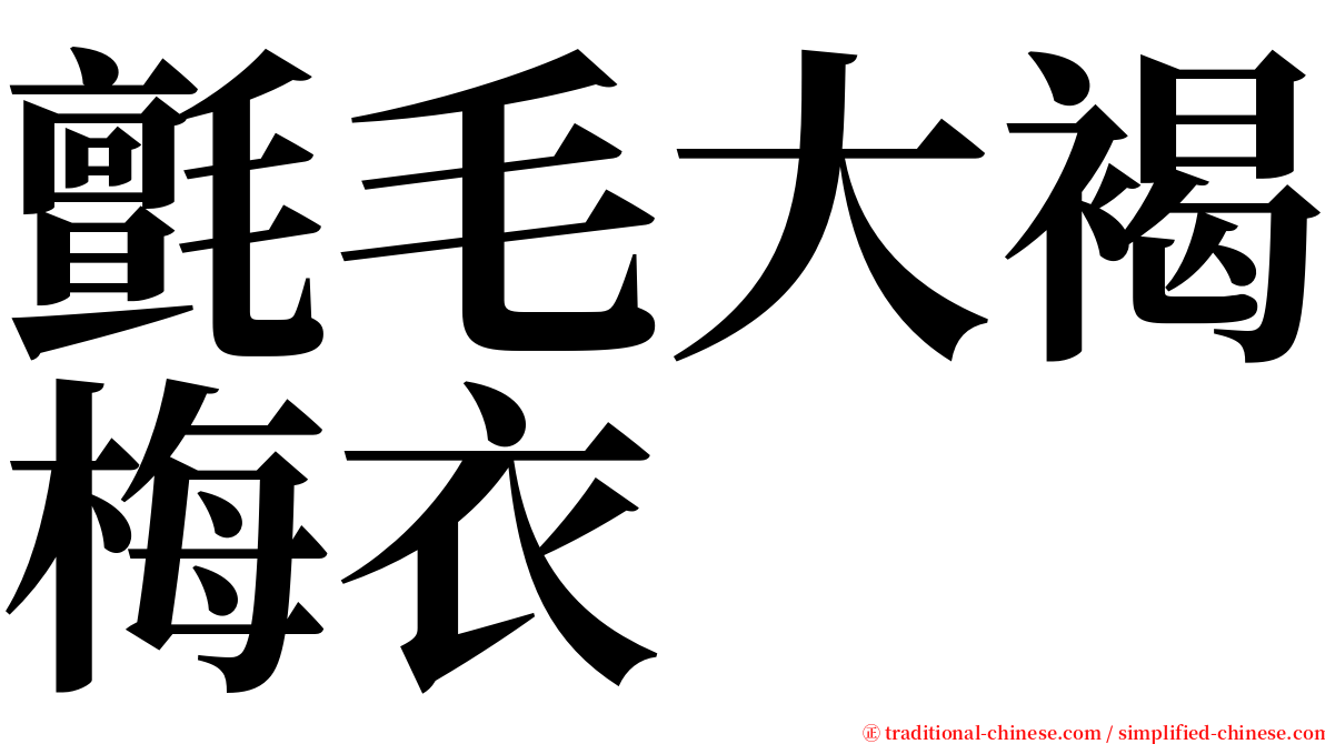 氈毛大褐梅衣 serif font