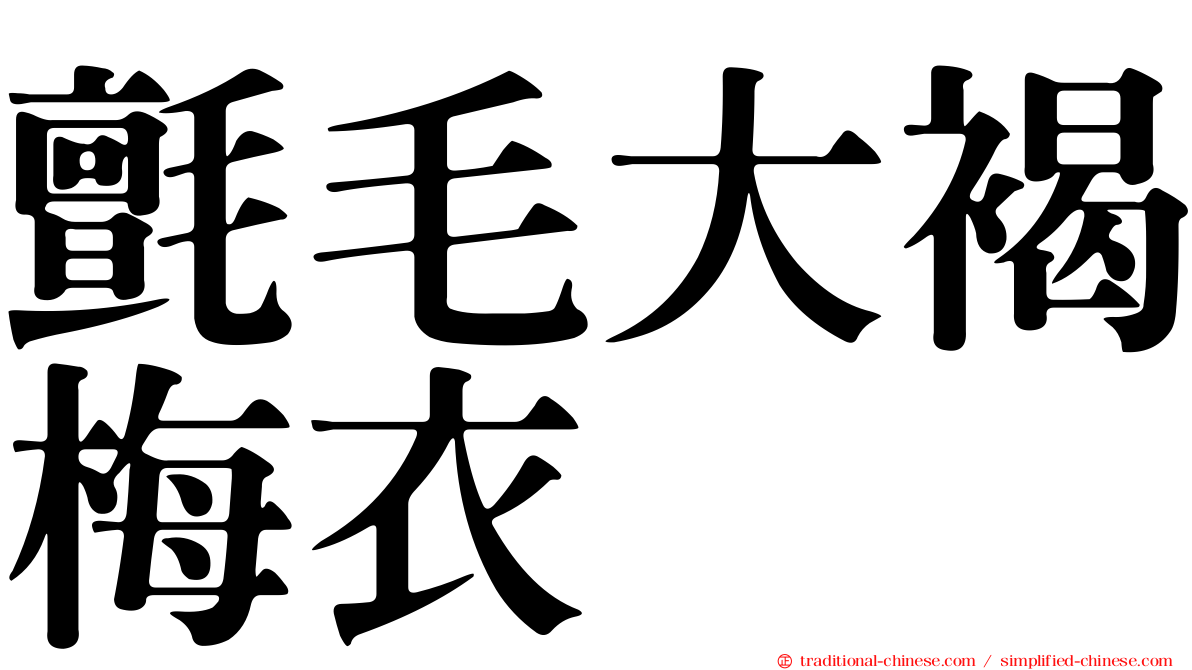 氈毛大褐梅衣