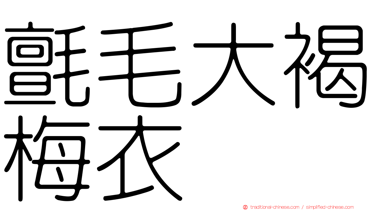 氈毛大褐梅衣
