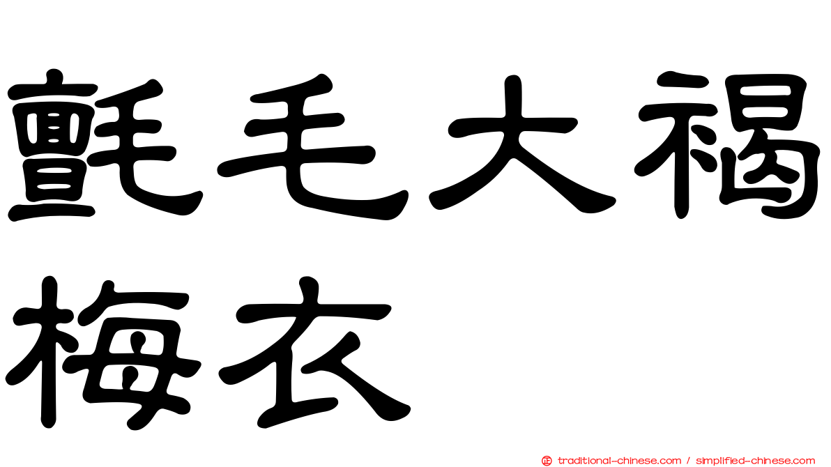 氈毛大褐梅衣