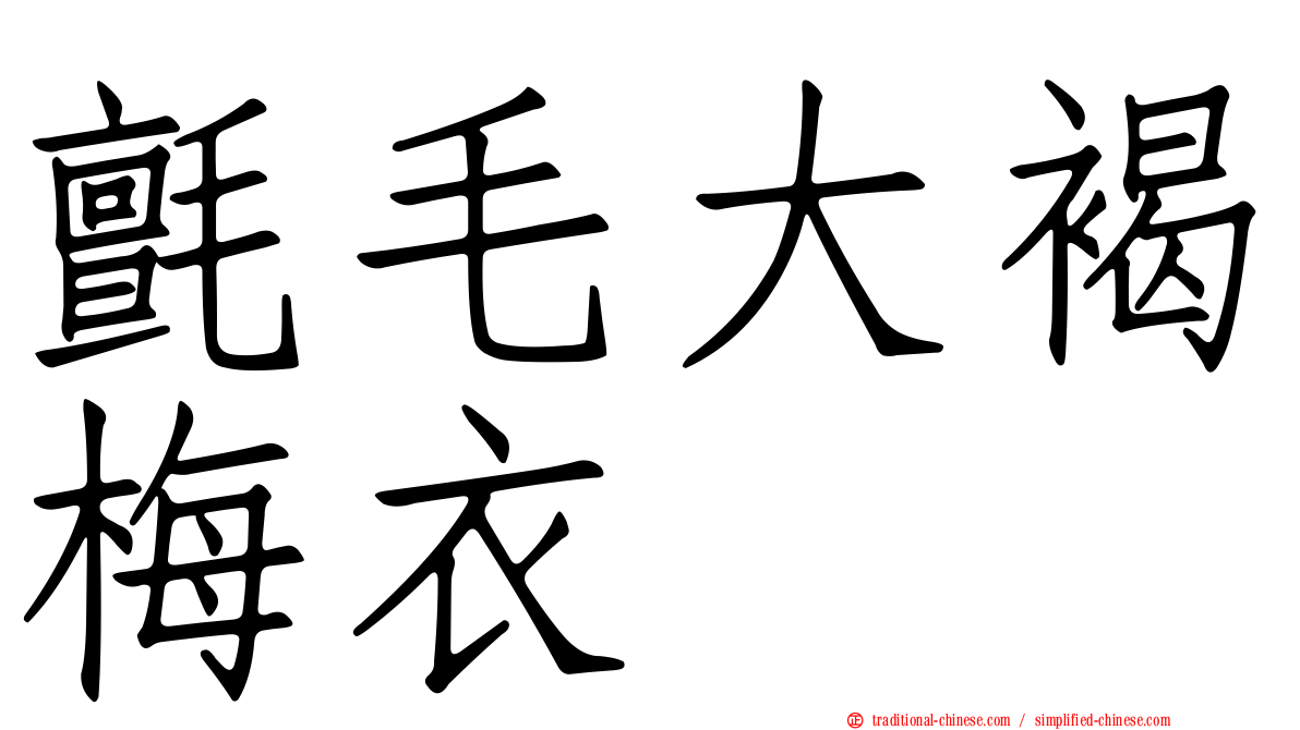 氈毛大褐梅衣