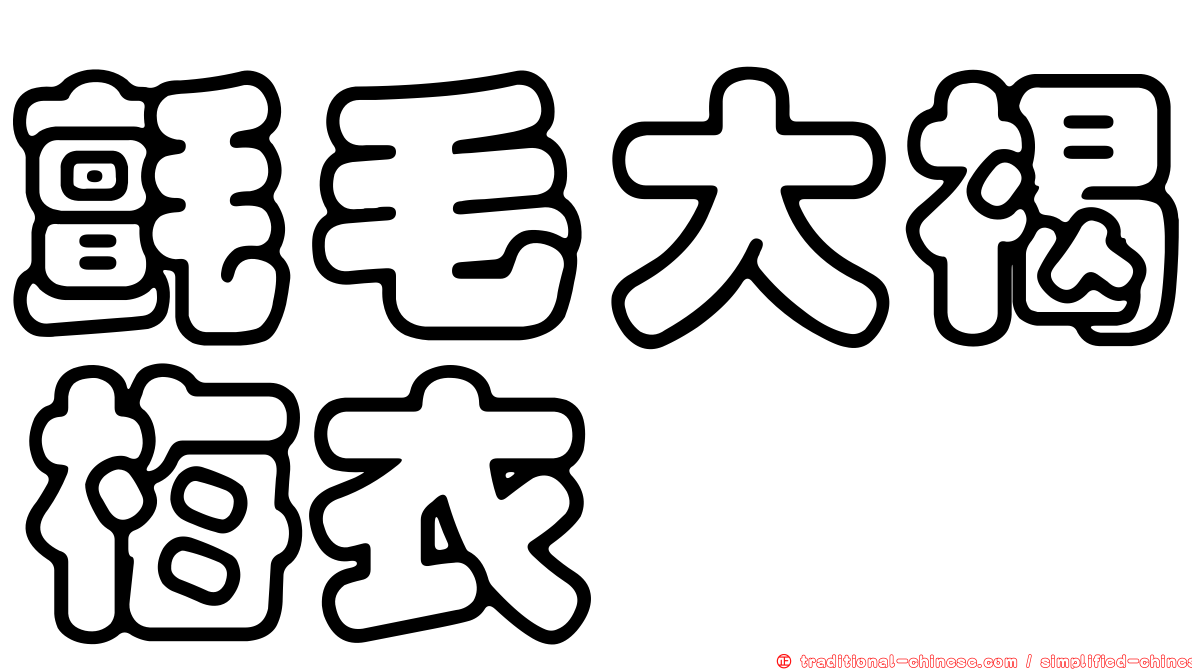 氈毛大褐梅衣
