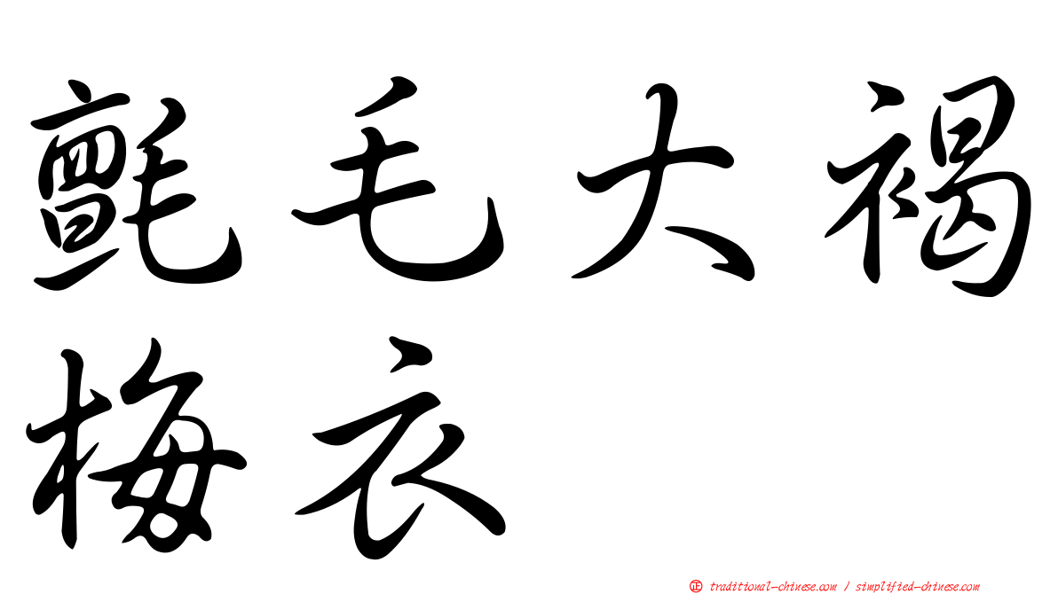 氈毛大褐梅衣