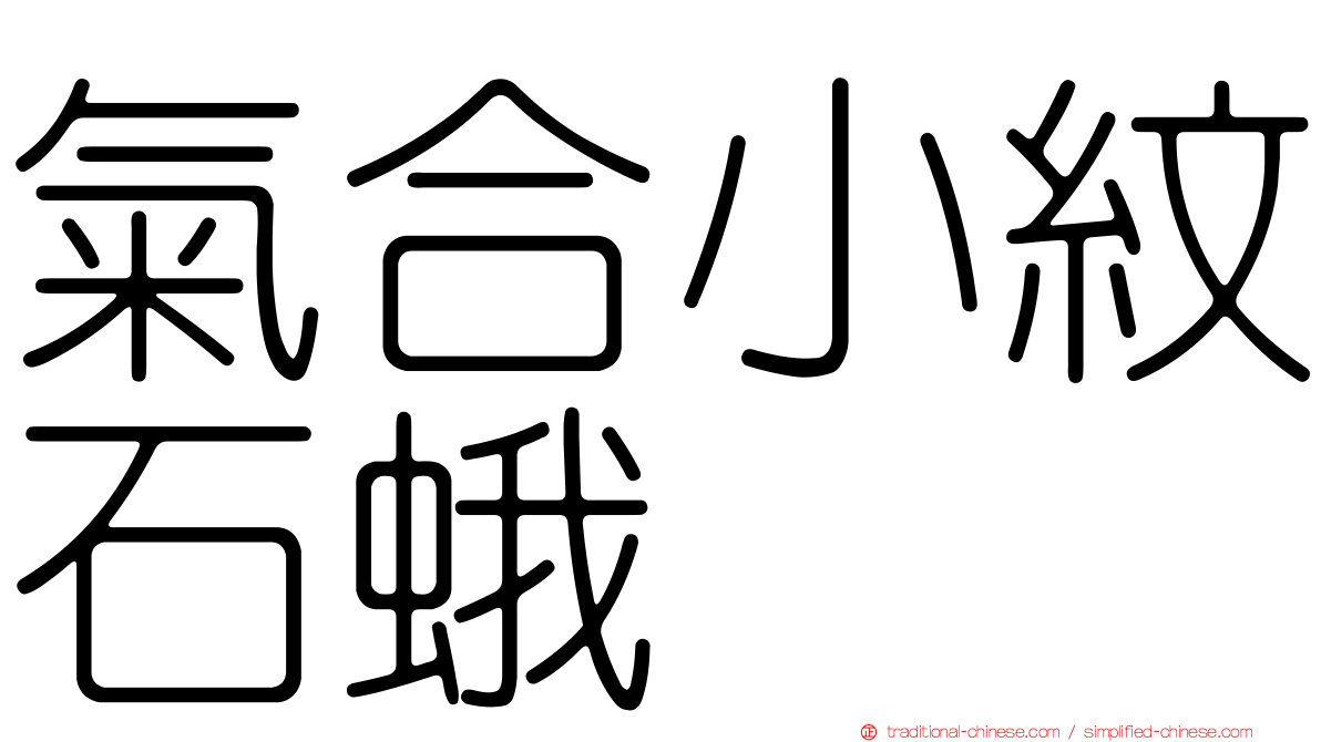 氣合小紋石蛾