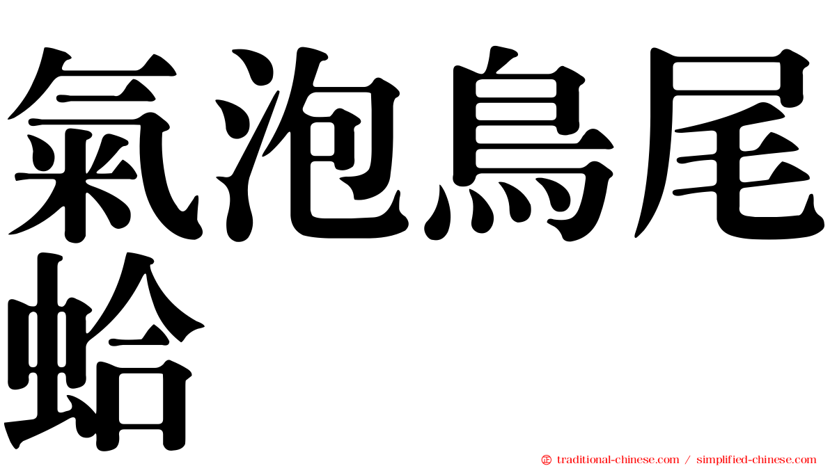氣泡鳥尾蛤