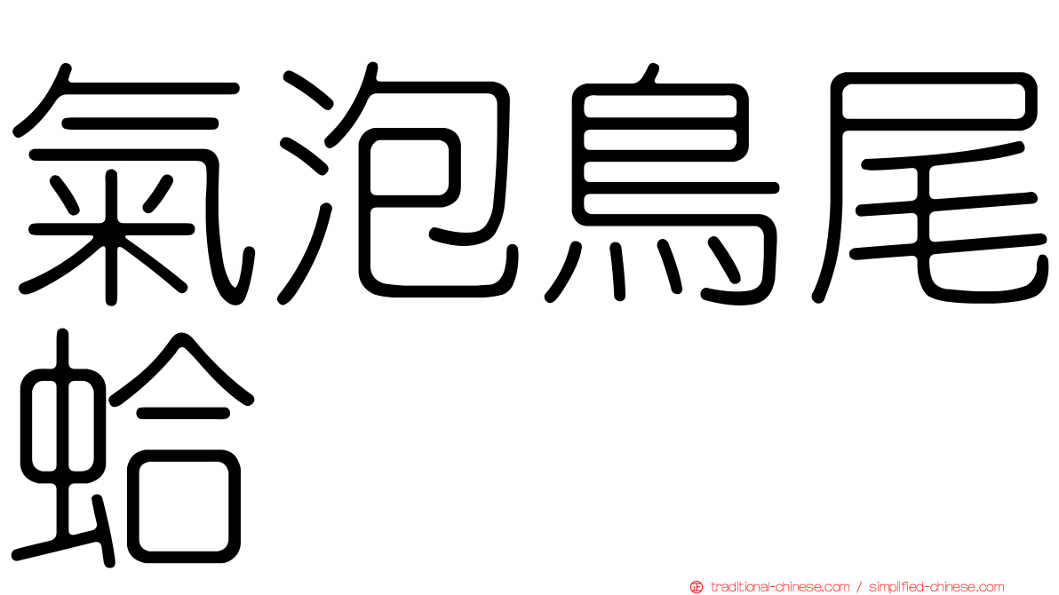 氣泡鳥尾蛤