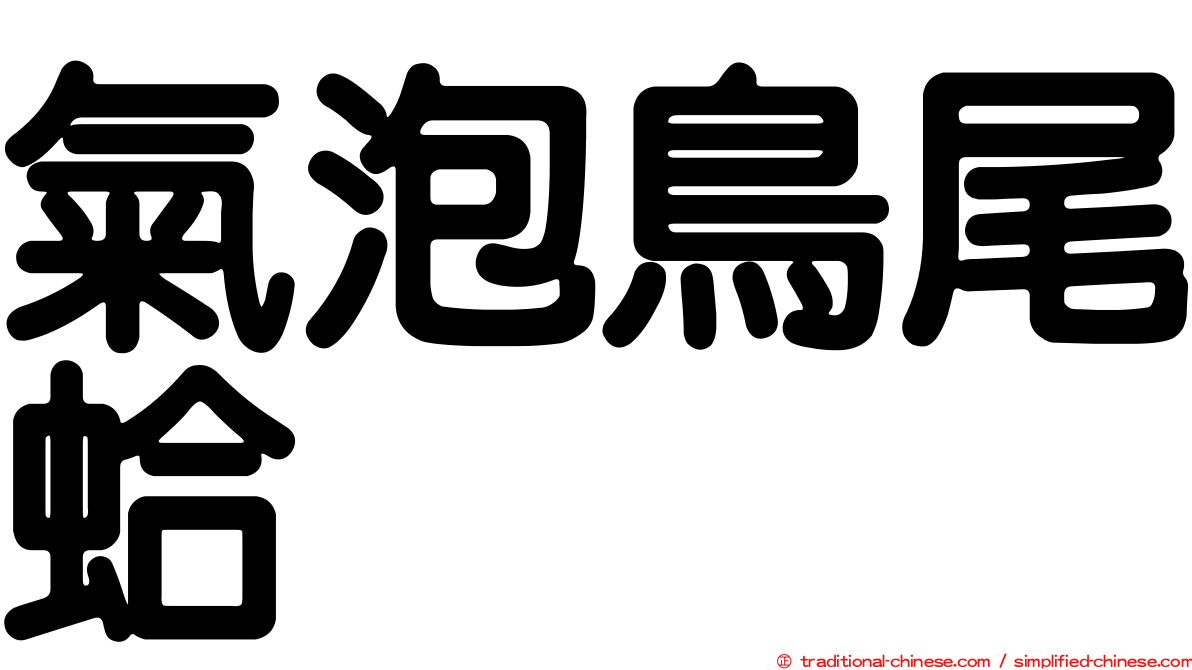 氣泡鳥尾蛤