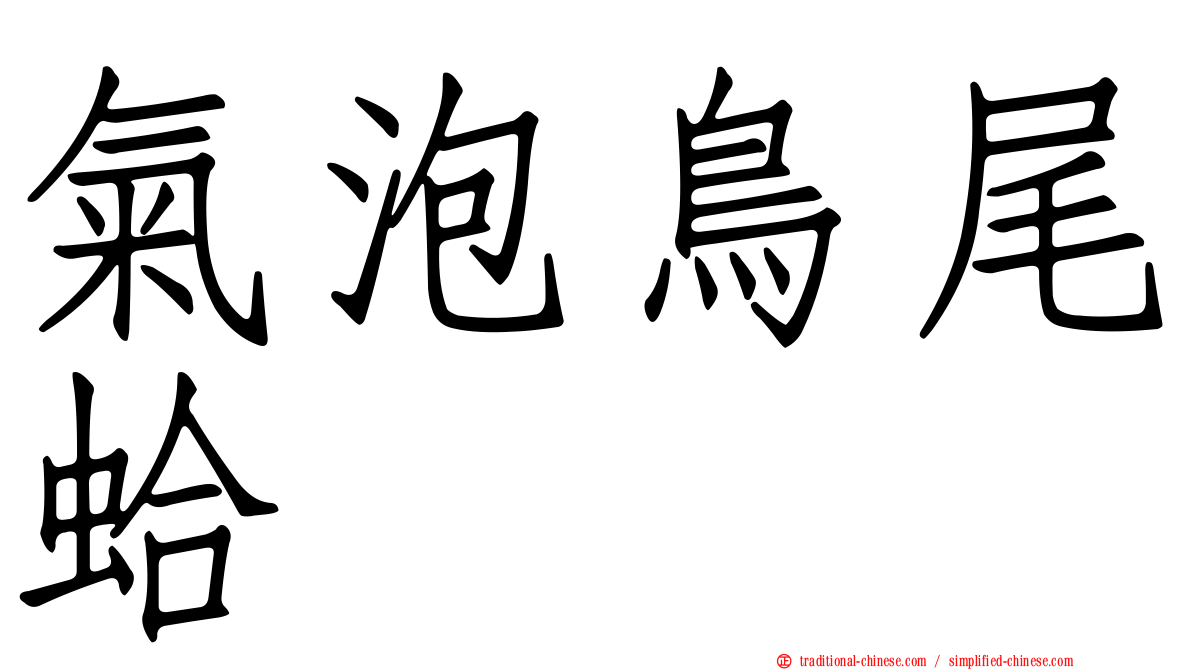 氣泡鳥尾蛤