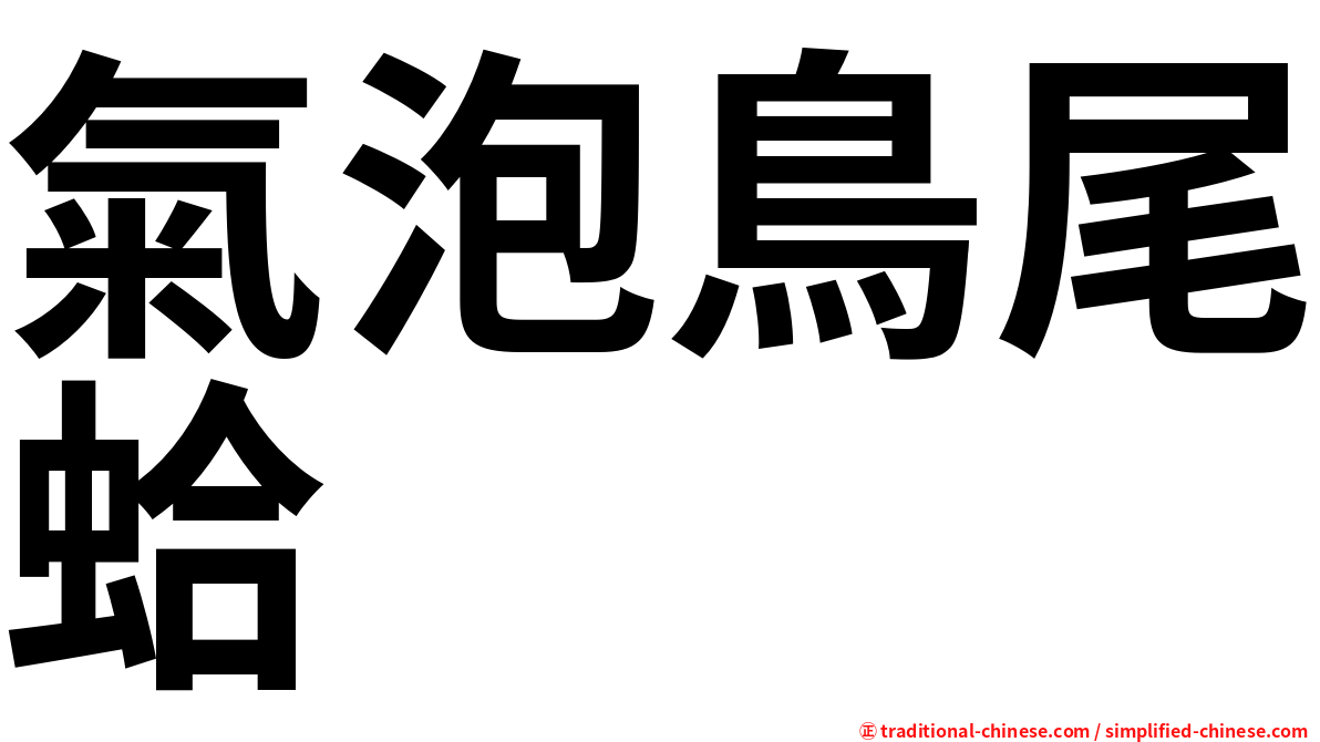 氣泡鳥尾蛤