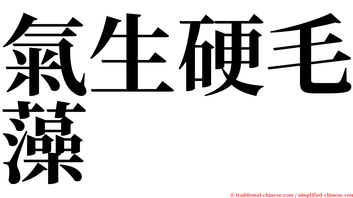 氣生硬毛藻 serif font