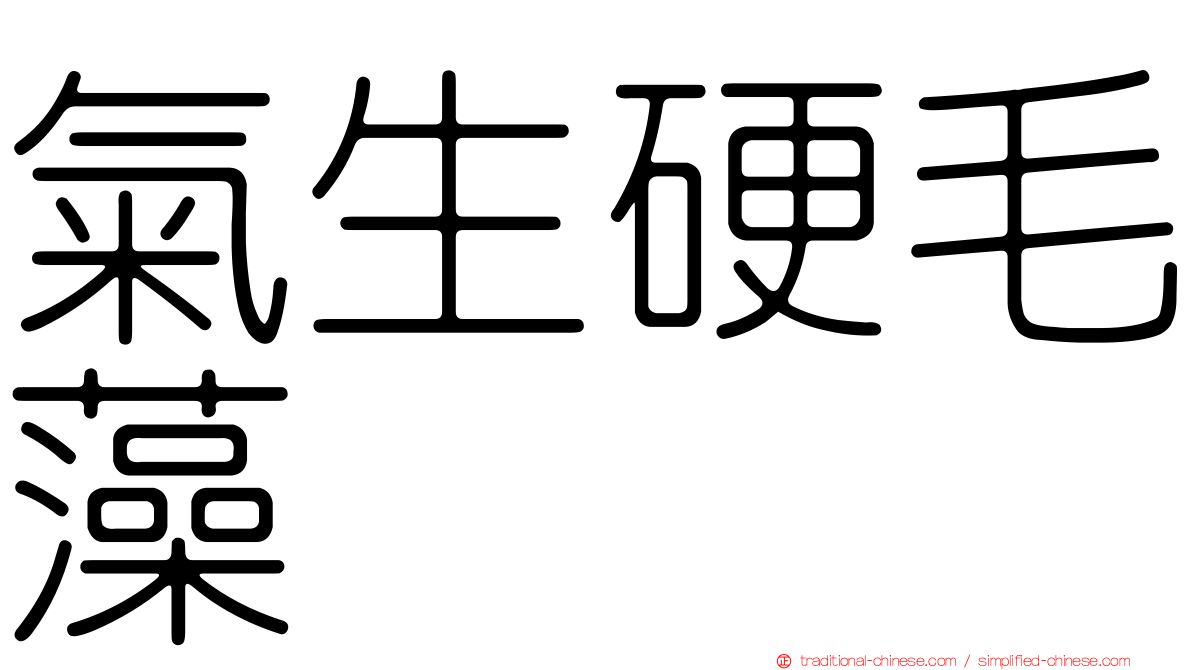 氣生硬毛藻
