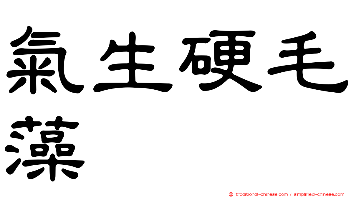氣生硬毛藻