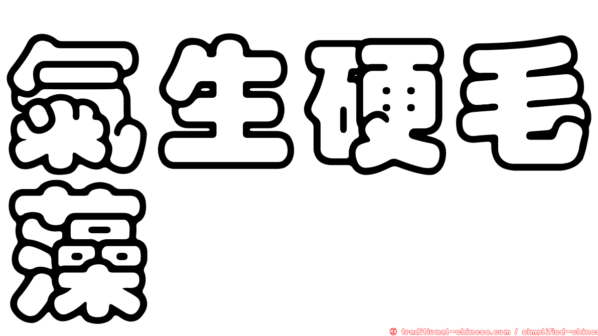 氣生硬毛藻