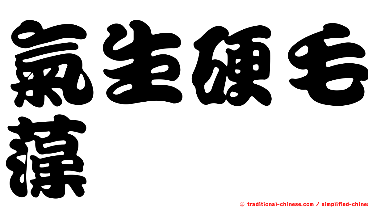 氣生硬毛藻