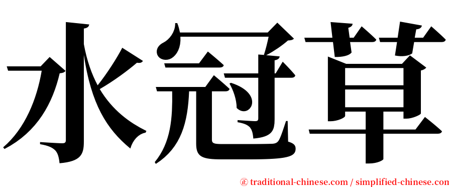 水冠草 serif font